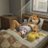 Furiousfox3000
