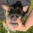 GNAR_THEMONSTER