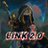 LINK20_