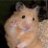 LeHamsterWsh