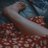 LolaXDouce10643