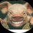 MaitrePoulet206