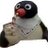 Pingu_pugnace