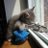 Pitoucat13