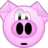 Poulpi06