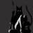 _DreamingCat