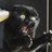 chat_deglingue