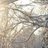 frost_sunrise