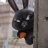 lapinou_noir