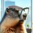 marmotz