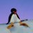 pingucestlefeu