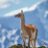 unautrelama